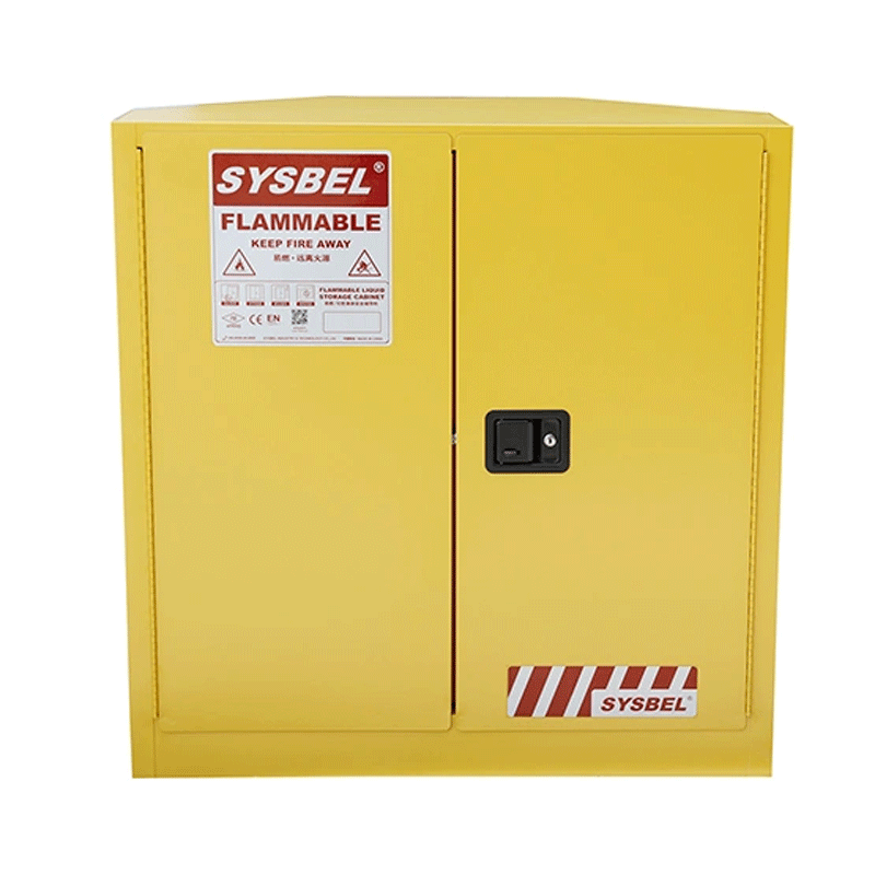 WA810300C.png